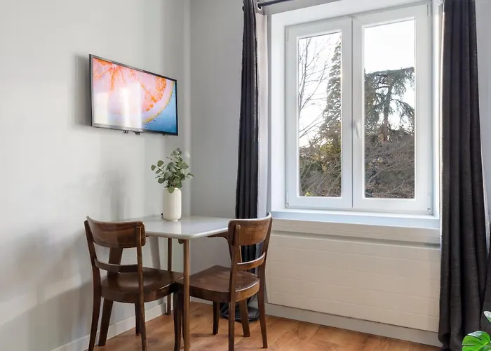 Travel Homes - The Parc, Next To Champ De Mars Apartment Colmar